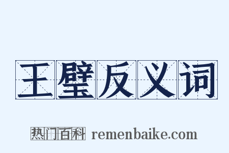 王璧反义词是什么意思的图片